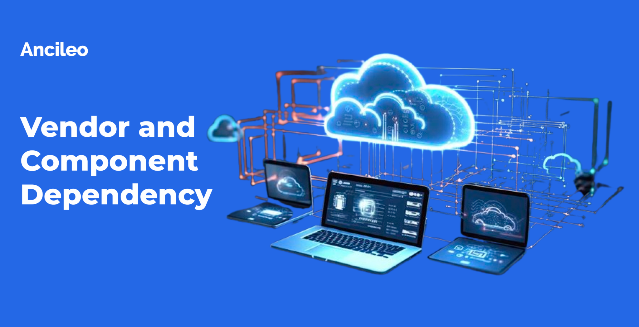 Vendor and Component Dependency - Ancileo