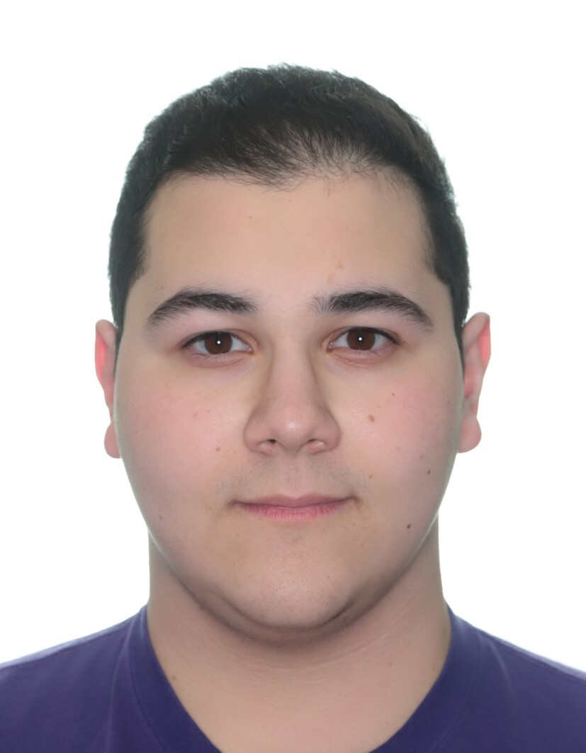 Saleem Asekrea